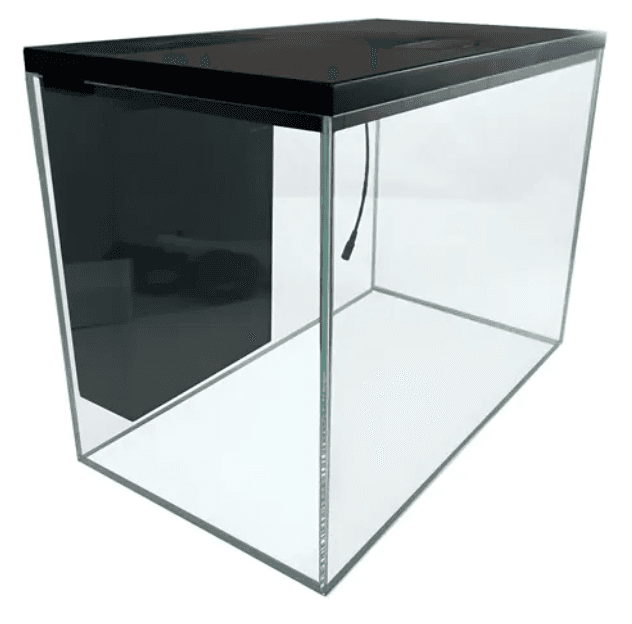 GRS2(aquarium)